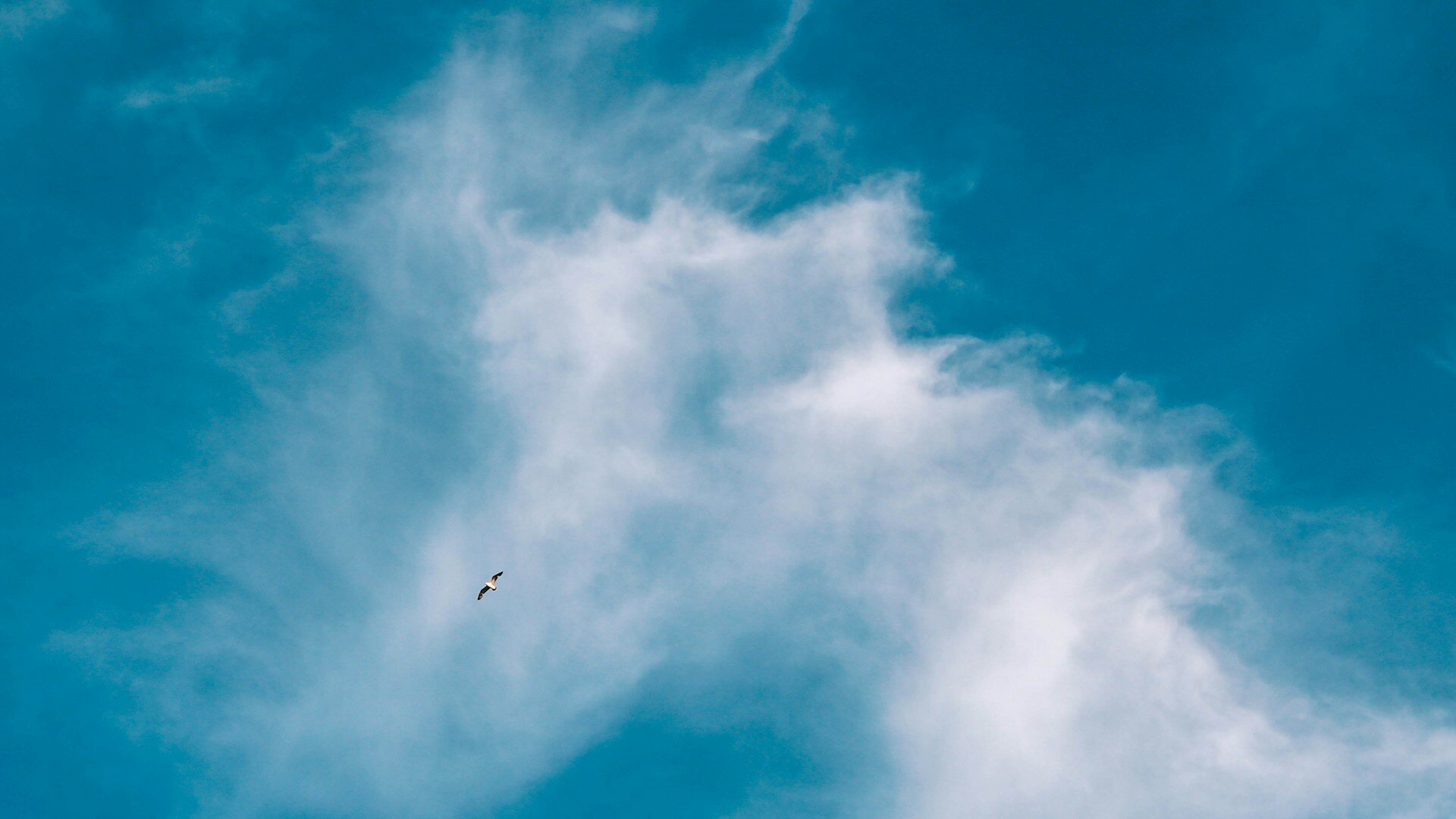 Livre Arbítrio: Mitos e Realidades na Tomada de Decisão