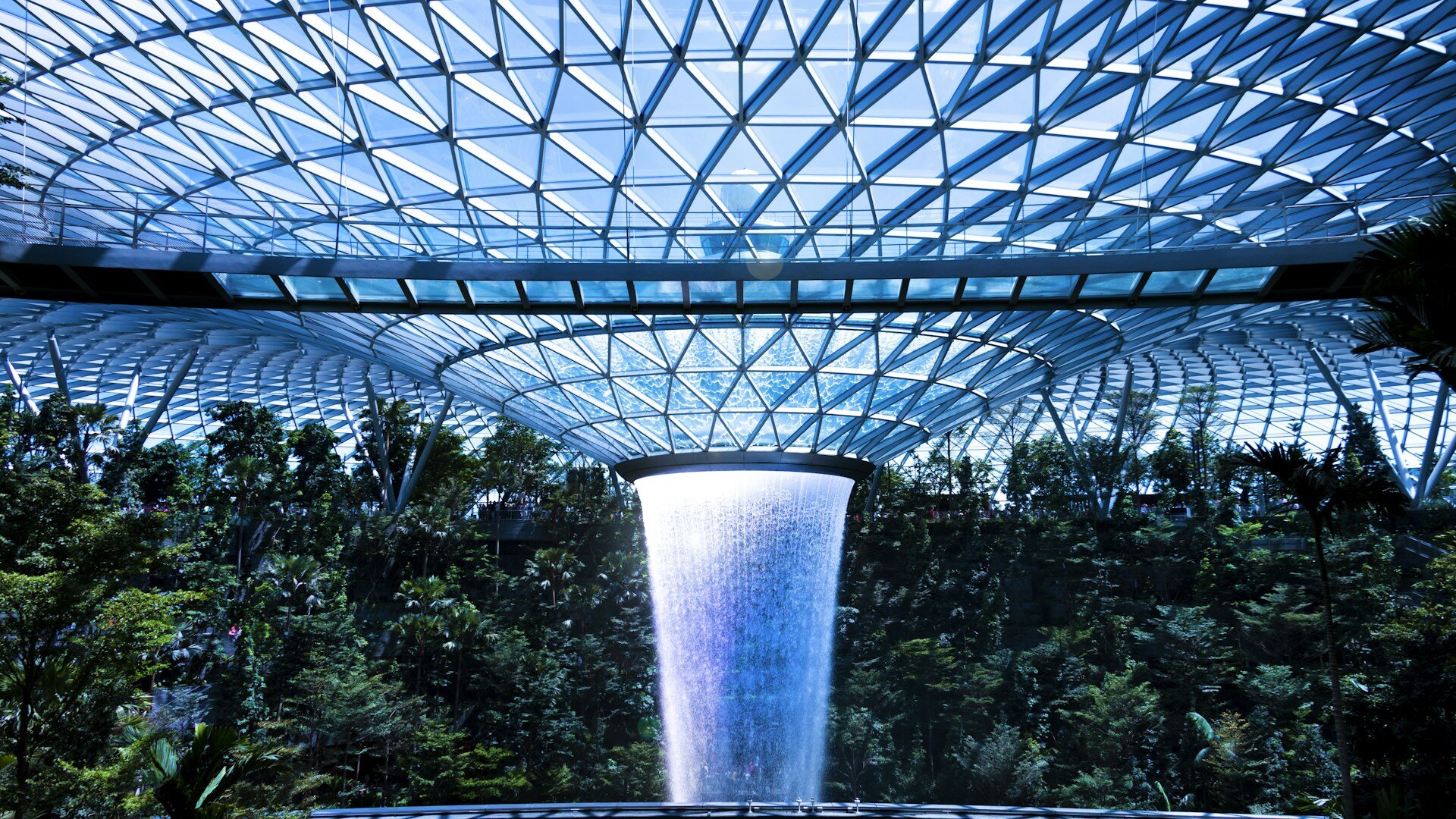 SG: O Guia Definitivo para Certificações de Sustentabilidade