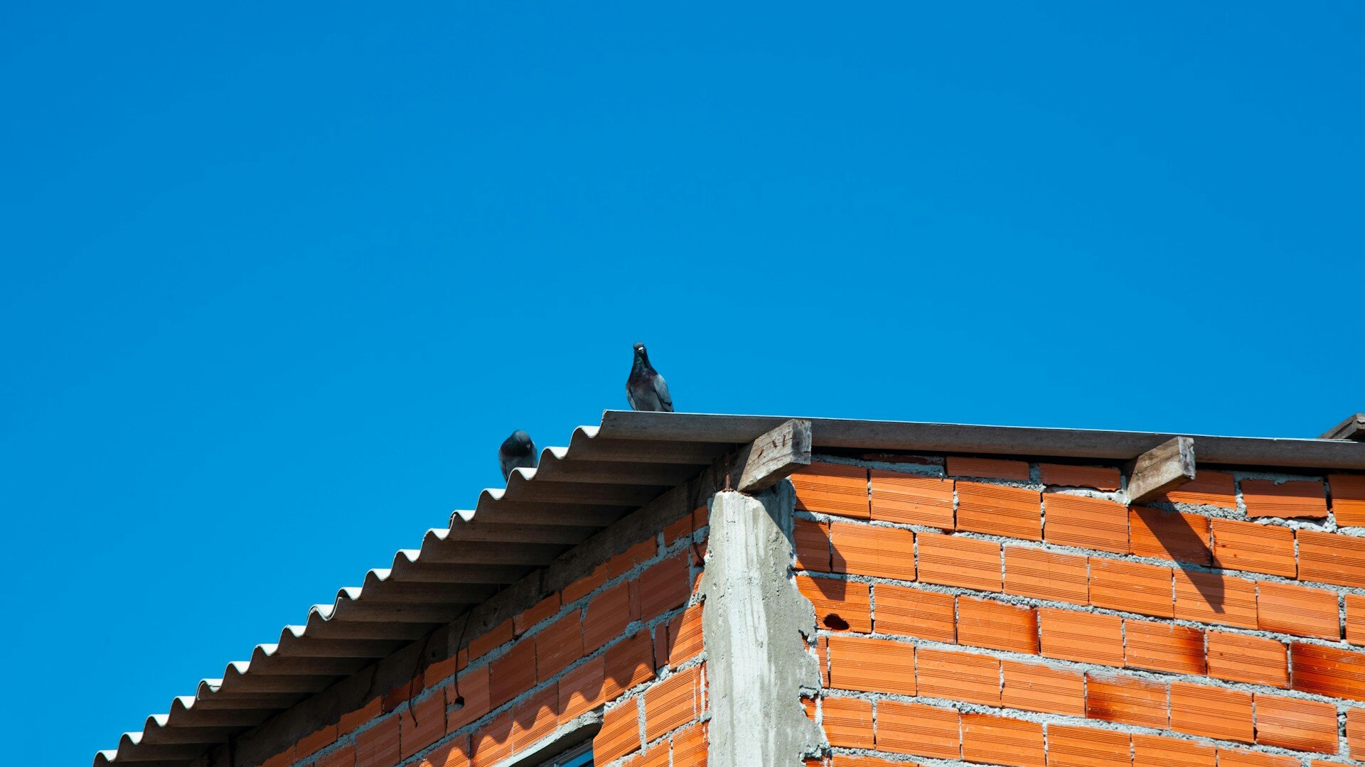 Impacto das Reformas Habitacionais: Transformando Comunidades