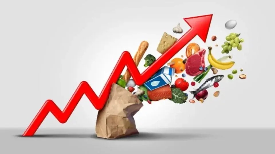 Custo de Produção: Como Maximizar Seus Lucros