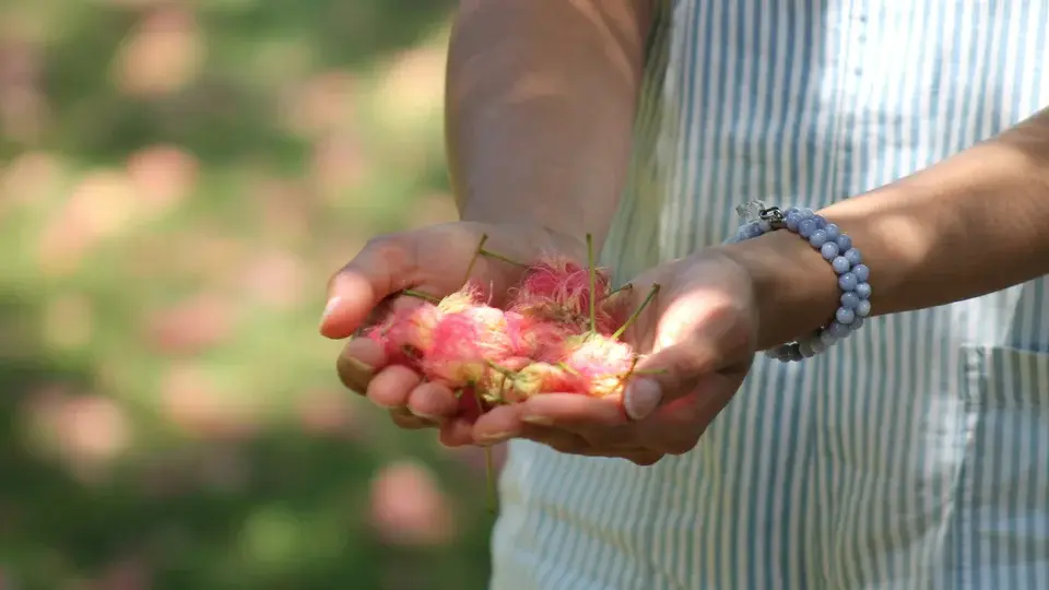 Prosperidade e Psicologia Positiva: o futuro do bem-estar humano