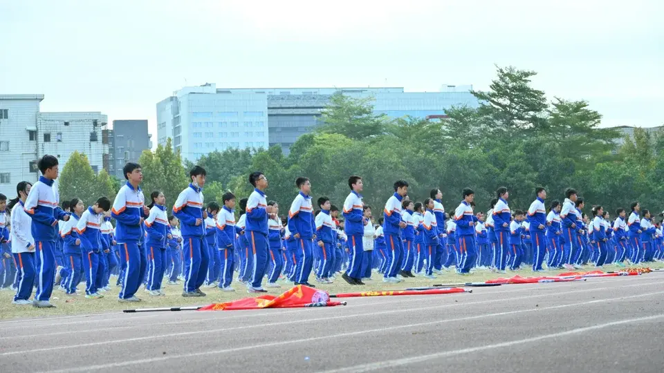 Formação de equipes: da indústria ao esporte
