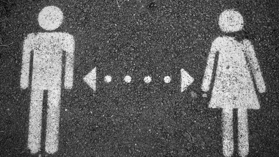 Humanos x amebas: como essa comparação ajuda a explicar o sucesso reprodutivo